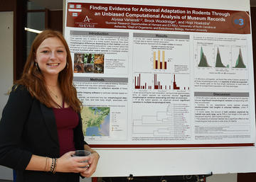 Alyssa Vanerelli 2019 REU Poster